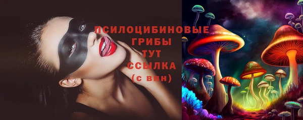 тгк Козельск